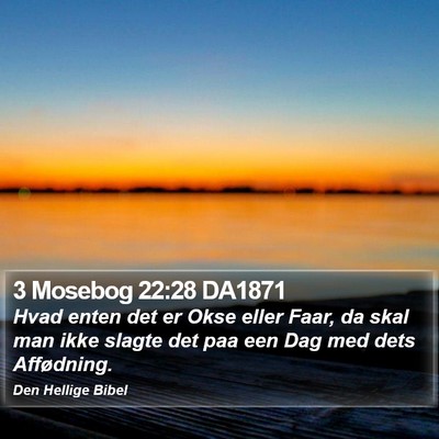 3 Mosebog 22:28 DA1871 Bible Verse Image