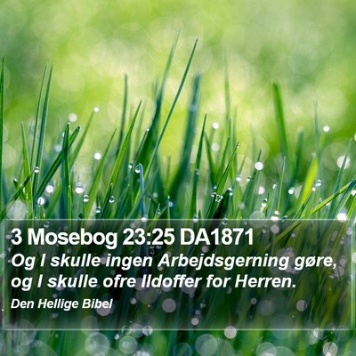3 Mosebog 23:25 DA1871 Bible Verse Image