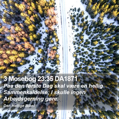 3 Mosebog 23:35 DA1871 Bible Verse Image