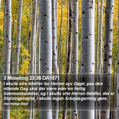 3 Mosebog 23:36 DA1871 Bible Verse Image