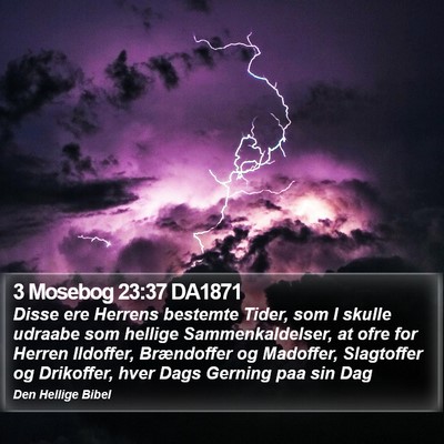 3 Mosebog 23:37 DA1871 Bible Verse Image