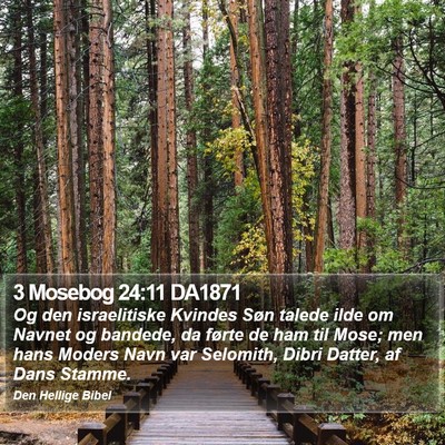 3 Mosebog 24:11 DA1871 Bible Verse Image