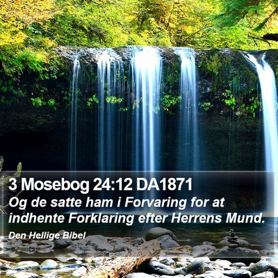 3 Mosebog 24:12 DA1871 Bible Verse Image