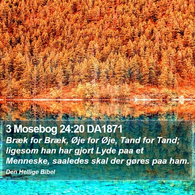 3 Mosebog 24:20 DA1871 Bible Verse Image