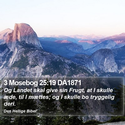 3 Mosebog 25:19 DA1871 Bible Verse Image