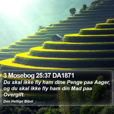 3 Mosebog 25:37 DA1871 Bible Verse Image