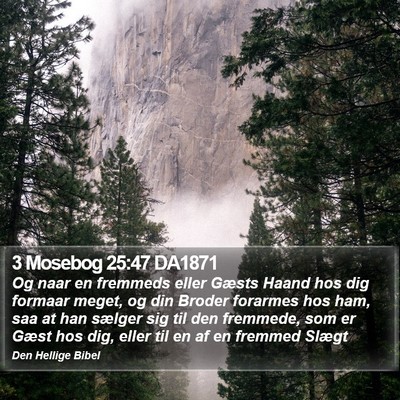 3 Mosebog 25:47 DA1871 Bible Verse Image