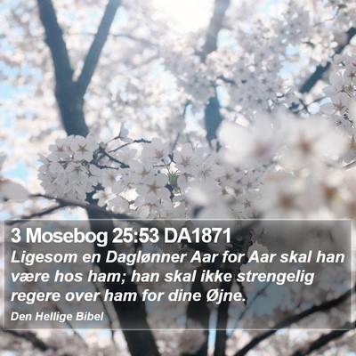 3 Mosebog 25:53 DA1871 Bible Verse Image