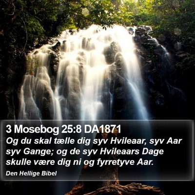 3 Mosebog 25:8 DA1871 Bible Verse Image