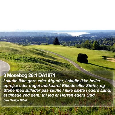 3 Mosebog 26:1 DA1871 Bible Verse Image