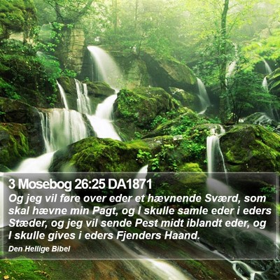 3 Mosebog 26:25 DA1871 Bible Verse Image