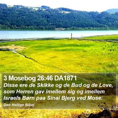 3 Mosebog 26:46 DA1871 Bible Verse Image