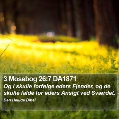 3 Mosebog 26:7 DA1871 Bible Verse Image