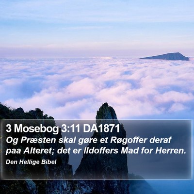 3 Mosebog 3:11 DA1871 Bible Verse Image