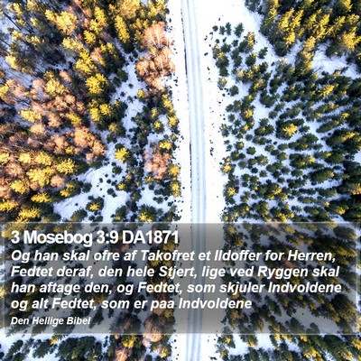 3 Mosebog 3:9 DA1871 Bible Verse Image