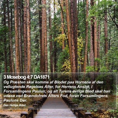 3 Mosebog 4:7 DA1871 Bible Verse Image