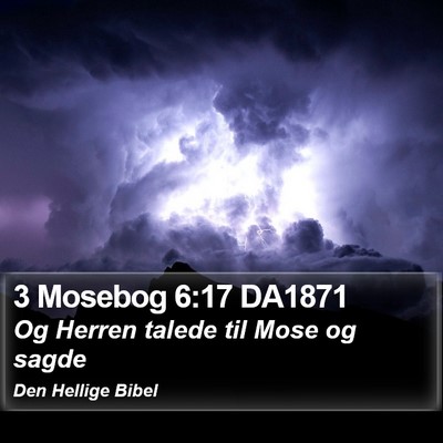 3 Mosebog 6:17 DA1871 Bible Verse Image