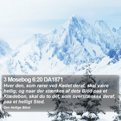 3 Mosebog 6:20 DA1871 Bible Verse Image