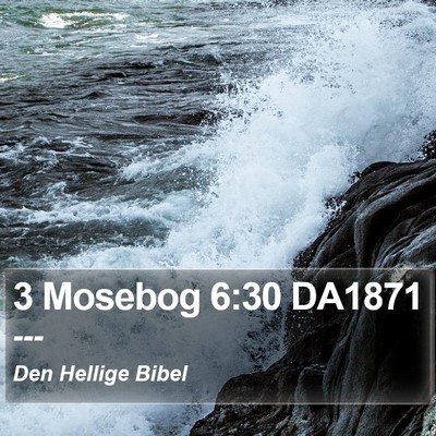 3 Mosebog 6:30 DA1871 Bible Verse Image
