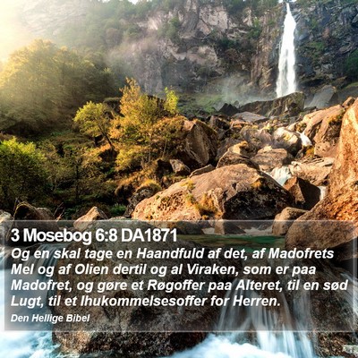 3 Mosebog 6:8 DA1871 Bible Verse Image