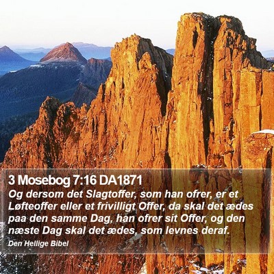 3 Mosebog 7:16 DA1871 Bible Verse Image
