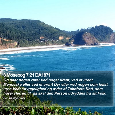 3 Mosebog 7:21 DA1871 Bible Verse Image