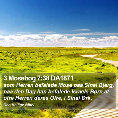 3 Mosebog 7:38 DA1871 Bible Verse Image