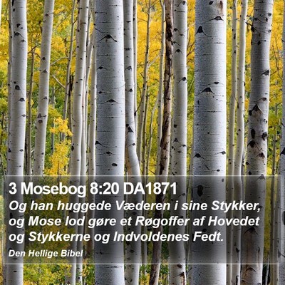 3 Mosebog 8:20 DA1871 Bible Verse Image