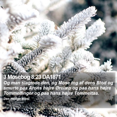 3 Mosebog 8:23 DA1871 Bible Verse Image