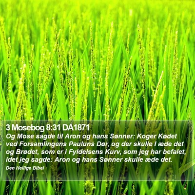 3 Mosebog 8:31 DA1871 Bible Verse Image