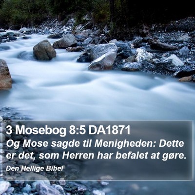 3 Mosebog 8:5 DA1871 Bible Verse Image