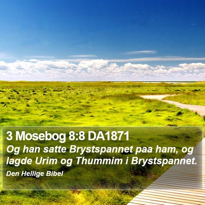 3 Mosebog 8:8 DA1871 Bible Verse Image