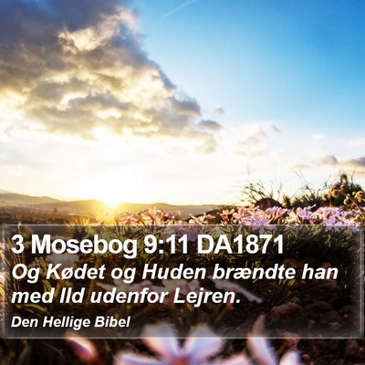 3 Mosebog 9:11 DA1871 Bible Verse Image