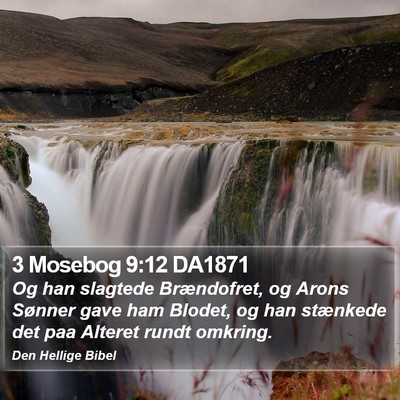 3 Mosebog 9:12 DA1871 Bible Verse Image