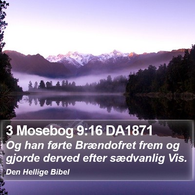 3 Mosebog 9:16 DA1871 Bible Verse Image