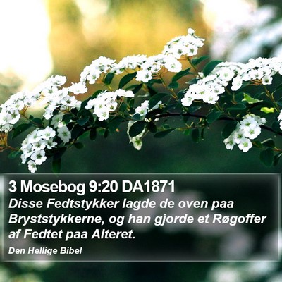 3 Mosebog 9:20 DA1871 Bible Verse Image