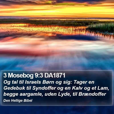 3 Mosebog 9:3 DA1871 Bible Verse Image