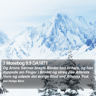 3 Mosebog 9:9 DA1871 Bible Verse Image