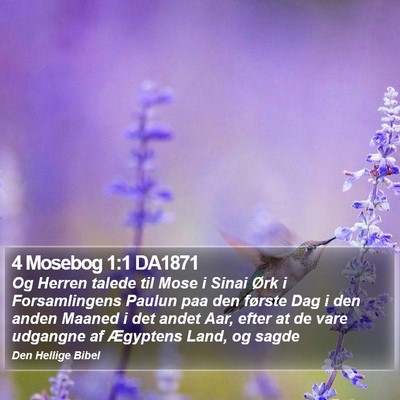 4 Mosebog 1:1 DA1871 Bible Verse Image