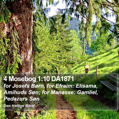 4 Mosebog 1:10 DA1871 Bible Verse Image