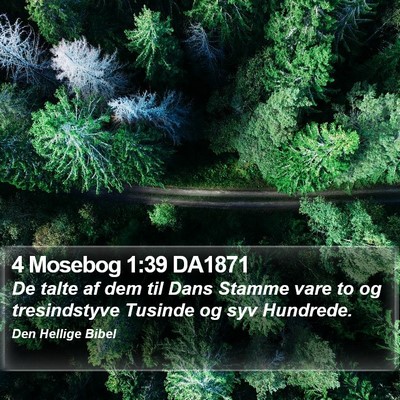 4 Mosebog 1:39 DA1871 Bible Verse Image