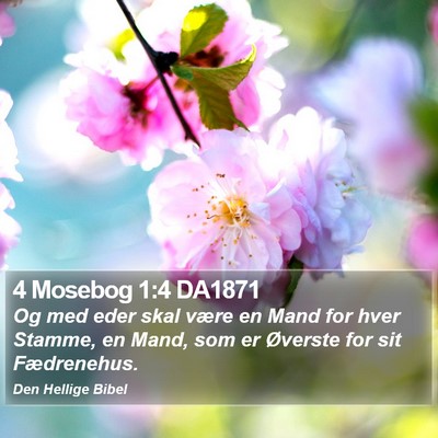 4 Mosebog 1:4 DA1871 Bible Verse Image