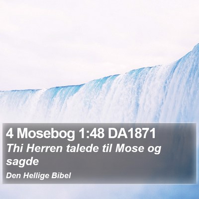 4 Mosebog 1:48 DA1871 Bible Verse Image