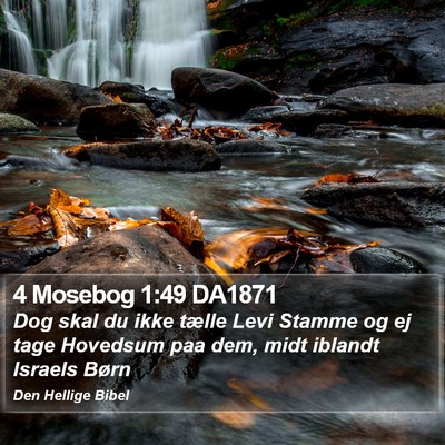 4 Mosebog 1:49 DA1871 Bible Verse Image