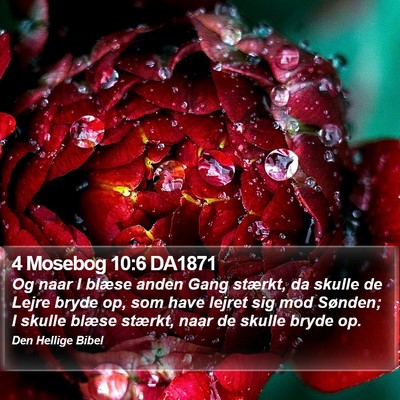 4 Mosebog 10:6 DA1871 Bible Verse Image
