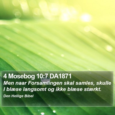 4 Mosebog 10:7 DA1871 Bible Verse Image