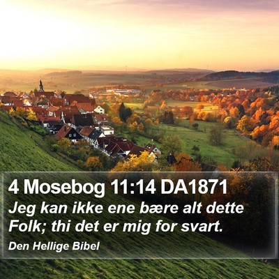 4 Mosebog 11:14 DA1871 Bible Verse Image