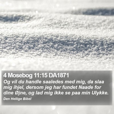 4 Mosebog 11:15 DA1871 Bible Verse Image