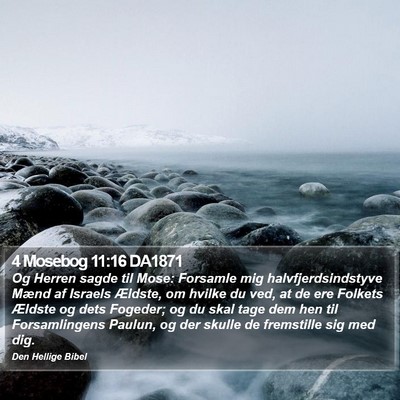 4 Mosebog 11:16 DA1871 Bible Verse Image