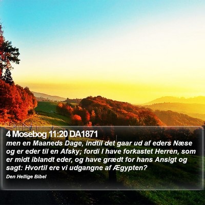 4 Mosebog 11:20 DA1871 Bible Verse Image